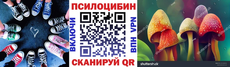 Псилоцибиновые грибы Cubensis  закладка  Юрга 