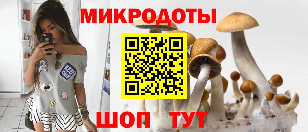 Псилоцибиновые грибы ЛСД Юрга