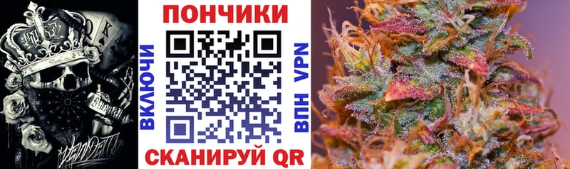 OMG онион  Юрга  МАРИХУАНА ГИДРОПОН 